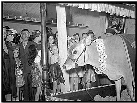 Elsie becomes a trademark